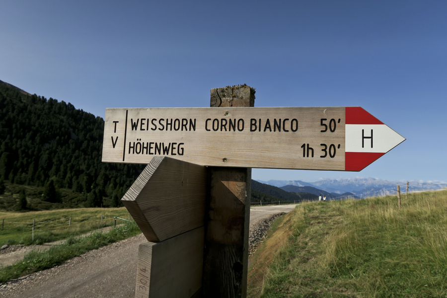 Weisshorn (BZ) (2).jpg